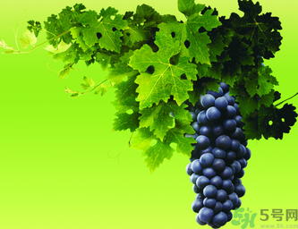 晚上吃葡萄好嗎？晚上吃葡萄好不好？