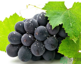 晚上吃葡萄會胖嗎？晚上吃葡萄會發(fā)胖嗎？