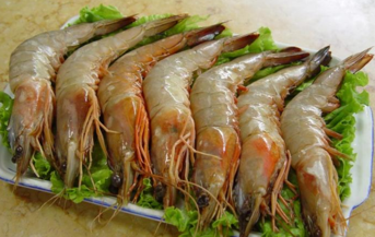 青蝦怎么做好吃？青蝦的做法大全