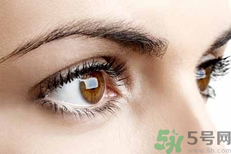 ?眉毛上可以涂生發(fā)液?jiǎn)?？眉毛涂生發(fā)水有副作用嗎？