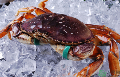 珍寶蟹多少錢一斤？珍寶蟹多少錢？