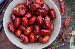 買的活龍蝦怎么保存?活龍蝦怎么保存過(guò)夜? 買的活龍蝦怎么保存?活龍蝦怎么保存過(guò)夜?