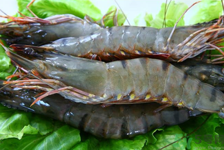 孕婦能吃草蝦嗎？草蝦孕婦可以吃嗎？