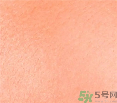 suqqu漸變?nèi)t色號 suqqu漸變?nèi)t試色