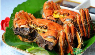 ?清蒸螃蟹蒸多久？?清蒸螃蟹需要多長時(shí)間？