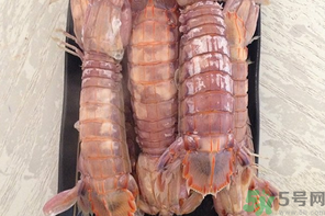 皮皮蝦蒸多長時(shí)間？皮皮蝦蒸多久？