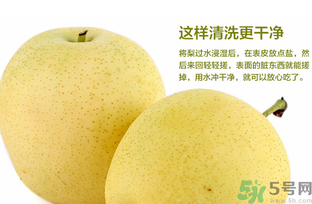 皇冠梨是雪梨嗎？皇冠梨和雪梨的區(qū)別