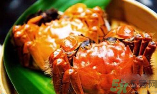 蟹膏是螃蟹的什么？蟹膏的營養(yǎng)價值