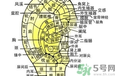 每天揉耳朵有什么好處？?揉耳朵的正確方法是什么？