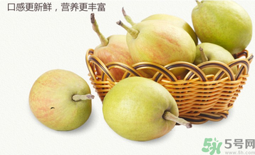 孕婦能吃香梨嗎？香梨孕婦可以吃嗎？