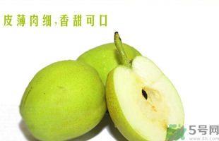 孕婦能吃香梨嗎？香梨孕婦可以吃嗎？