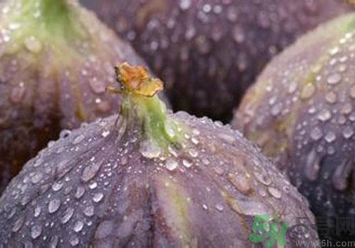 吃無花果要?jiǎng)兤?？吃無花果皮有什么好處？