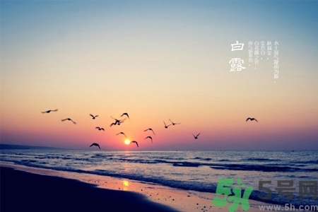 白露節(jié)吃什么？白露節(jié)的傳統(tǒng)美食有哪些？