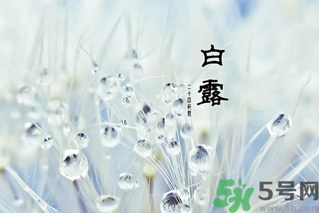 白露節(jié)吃什么？白露節(jié)的傳統(tǒng)美食有哪些？