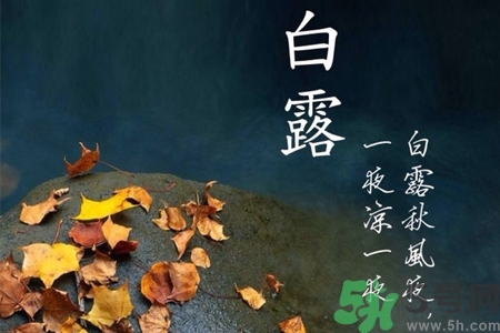 白露節(jié)吃什么？白露節(jié)的傳統(tǒng)美食有哪些？