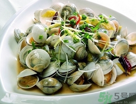 蛤蜊是花甲嗎？蛤蜊是花蛤嗎？