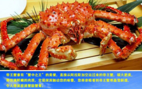 阿拉斯加帝王蟹好吃嗎？阿拉斯加帝王蟹吃法