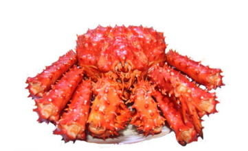 智利帝王蟹怎么吃？智利帝王蟹好吃嗎？