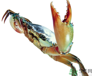 河蟹怎么保存？?活河蟹怎么保存？