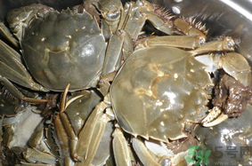 河蟹怎么保存？?活河蟹怎么保存？