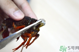 活蝦怎么處理干凈蝦線？活蝦怎么去蝦線？