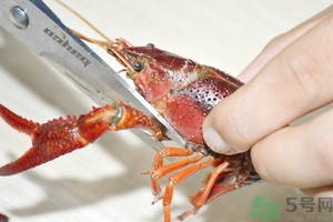 活蝦怎么處理干凈蝦線？活蝦怎么去蝦線？