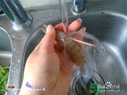活蝦怎么處理干凈蝦線？活蝦怎么去蝦線？