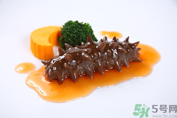 活海參和干海參哪個好？活海參好還是干海參好？