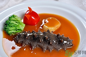 活海參怎么處理保存？活海參怎么處理才能吃？