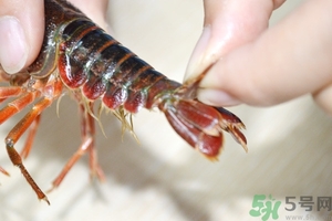 活蝦怎么處理干凈蝦線？活蝦怎么去蝦線？