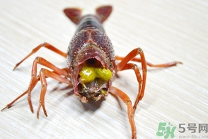 活蝦怎么處理干凈蝦線？活蝦怎么去蝦線？