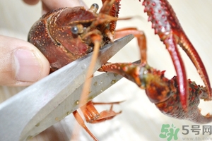 活蝦怎么處理干凈蝦線？活蝦怎么去蝦線？