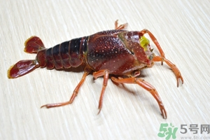 活蝦怎么處理干凈蝦線？活蝦怎么去蝦線？