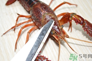 活蝦怎么處理干凈蝦線？活蝦怎么去蝦線？