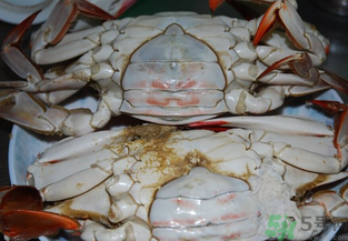 海蟹蒸多長時間？海蟹蒸多長時間最好吃？