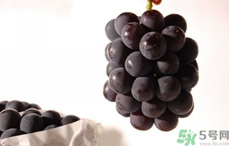 巨峰葡萄可以釀酒嗎？巨峰葡萄怎么做葡萄酒？