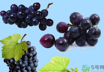 巨峰葡萄怎么打崔紅藥？葡萄怎么崔紅？