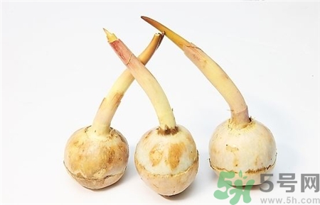 慈姑的營養(yǎng)價值 慈姑的功效與作用 慈姑的營養(yǎng)價值 慈姑的功效與作用