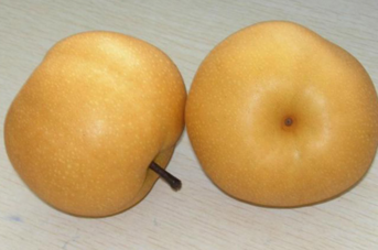 孕婦能吃豐水梨嗎？豐水梨孕婦可以吃嗎？