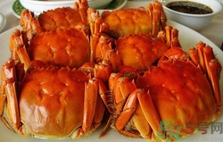 吃螃蟹可以喝啤酒嗎?吃螃蟹喝啤酒有什么反應(yīng) 吃螃蟹可以喝啤酒嗎?吃螃蟹喝啤酒有什么反應(yīng)