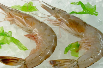 海蝦怎么保存？活海蝦怎么保存？