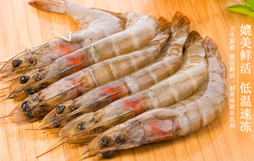 海蝦怎么保存？活海蝦怎么保存？