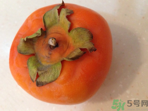 孕婦可以吃懶柿子嗎？懶柿子孕婦可以吃嗎？