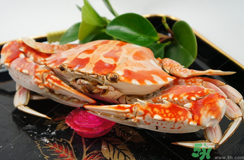 海蟹怎么保存？活海蟹怎么保存？