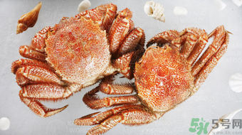 紅毛蟹多少錢一斤？紅毛蟹價格
