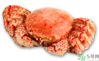 紅毛蟹多少錢一斤？紅毛蟹價格