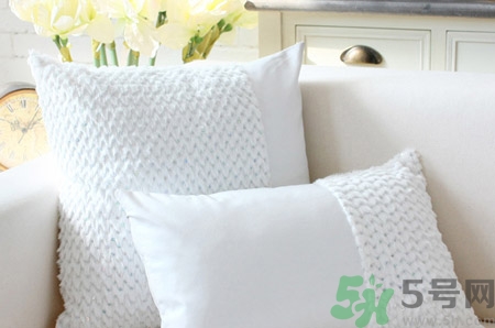 蕎麥枕頭還還是決明子枕頭好?蕎麥枕頭和決明子枕頭哪個好 蕎麥枕頭還還是決明子枕頭好?蕎麥枕頭和決明子枕頭哪個好