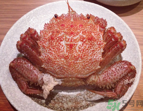 紅毛蟹怎么吃？紅毛蟹怎么做好吃？