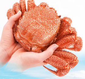 毛蟹怎么洗？毛蟹怎么去毛？