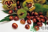 空腹能吃生板栗嗎？生吃板栗有什么好處？